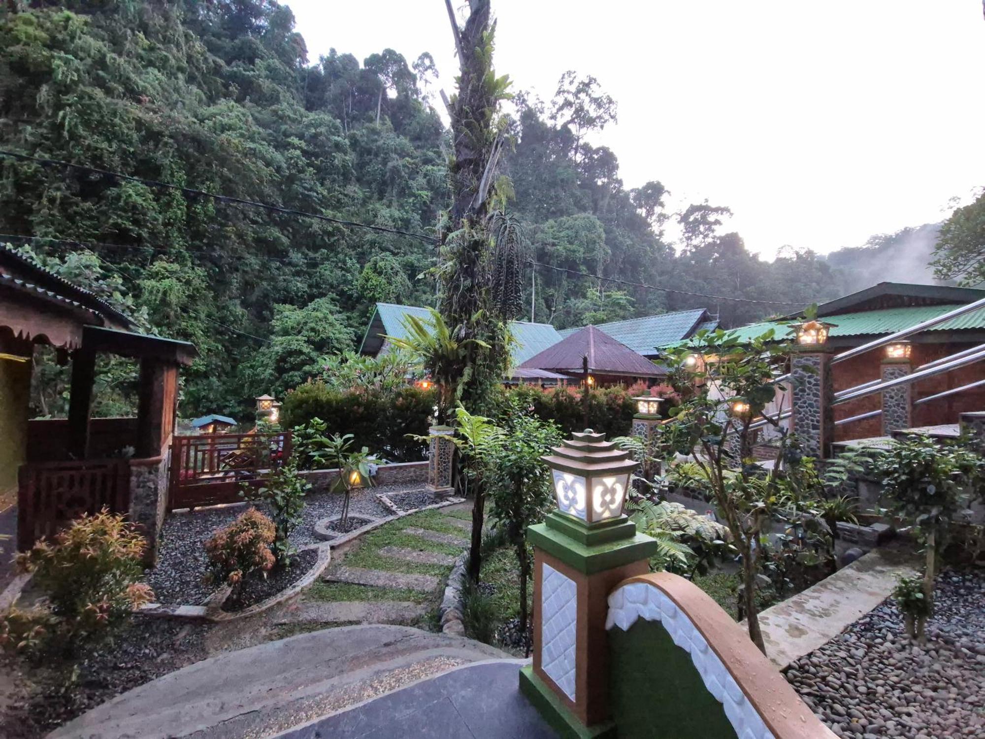 Sam'S Bungalows And Treks Bukit Lawang Extérieur photo